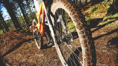Ormanda bisiklet süren birinin yakın plan düşük açılı görüntüsü.