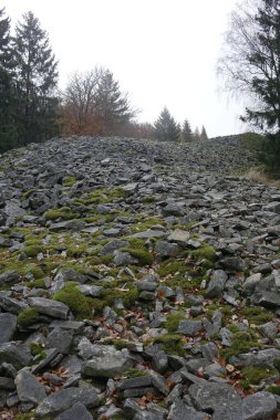 Nonnweiler, Almanya 'da Otzenhausen' deki Kelt Hillfort 'un yosunlu bir kısmının dikey çekimi
