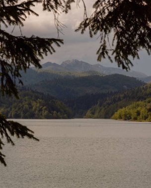 Arka planda yeşil dağlar olan güzel doğal göl manzarası, dikey.