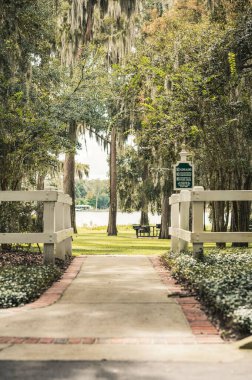 Güneşli bir günde parkta bir yürüyüş.