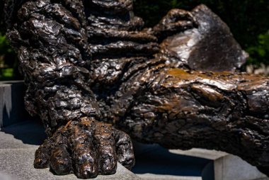 Washington DC 'deki Albert Einstein Anıtı' nın yakın çekimi.