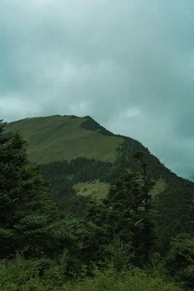 Vertikální Záběr Zelené Hory Národním Parku Taroko Zataženém Dni Hualien — Stock fotografie