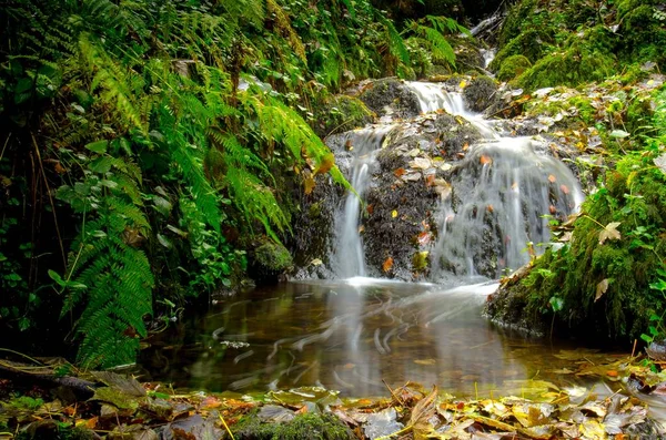 Piękne Ujęcie Wodospadu Zacisznym Lesie Jesienią — Zdjęcie stockowe