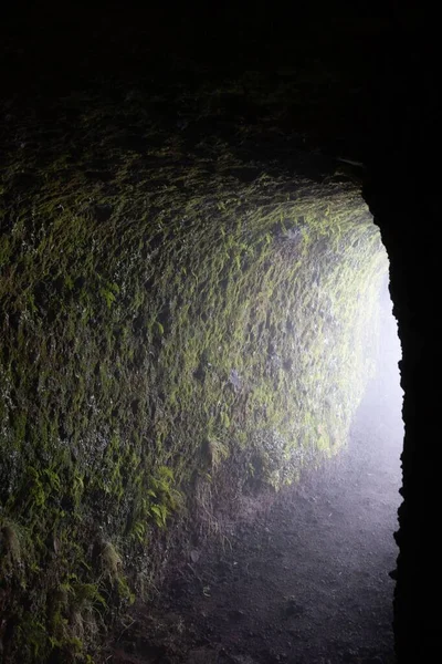 Dark Tunnel Moss Walls Bright Light — Stock Photo, Image