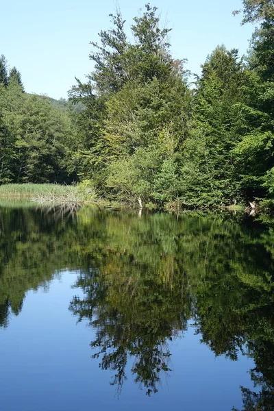 昼間の鏡湖に映る森の木々と青空 — ストック写真
