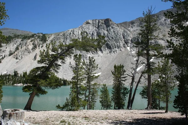 Meadow Lake Gilmore Idaho Verenigde Staten — Stockfoto