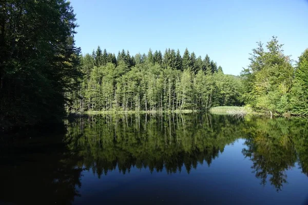 Lac Forêt Calme Avec Reflet Des Arbres Ciel Bleu Dans — Photo