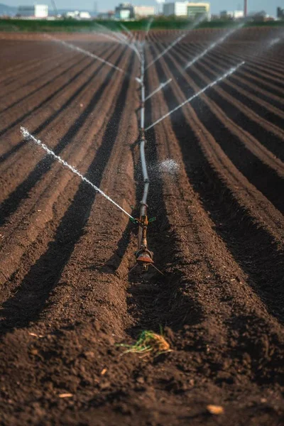 农田上的一个垂直的灌溉镜头 — 图库照片