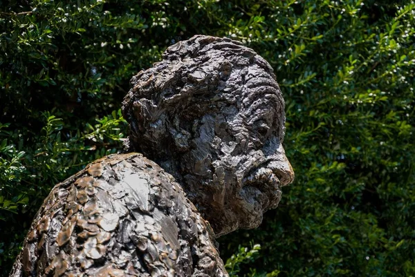 Прекрасный Снимок Мемориала Альберта Эйнштейна Вашингтоне — стоковое фото