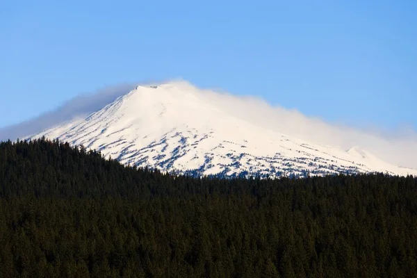 Une Vue Sur Mont Baccalauréat Enneigé Forêt Dans Oregon — Photo