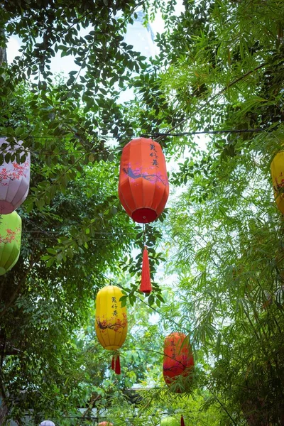 Vertical Shot Red Lanterns Hanging Trees Lunar New Year Celebration — Stock Photo, Image