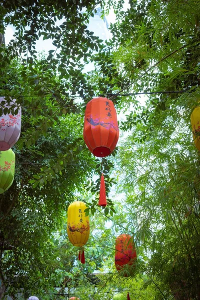 Colpo Verticale Lanterne Rosse Appese Agli Alberi Celebrazione Del Capodanno — Foto Stock