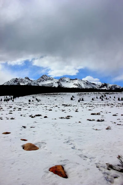 Zasněžené Pole Horami Pozadí Sawtooth Range Idaho Usa — Stock fotografie