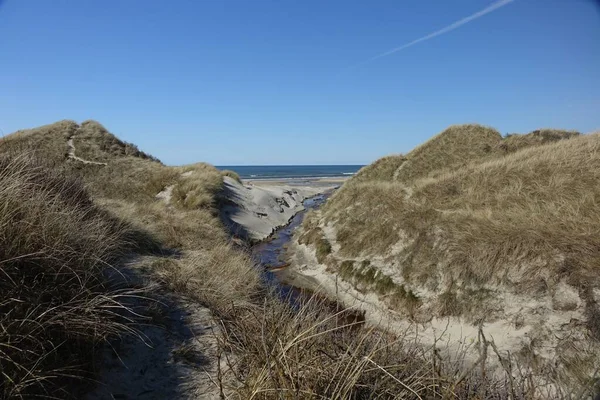 Eine Schöne Aufnahme Von Sanddünen Mit Gras Bedeckt Der Nähe — Stockfoto