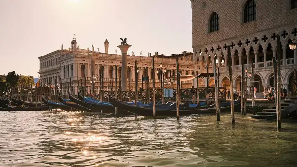 Uma Vista Panorâmica Praça São Marcos Veneza Itália Verão Luz — Fotografia de Stock