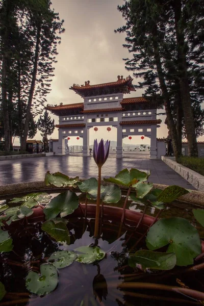 A flowrrs on water and the Sun Moon Lake Xuanzang Temple in a distance under gray sky, Taiwan