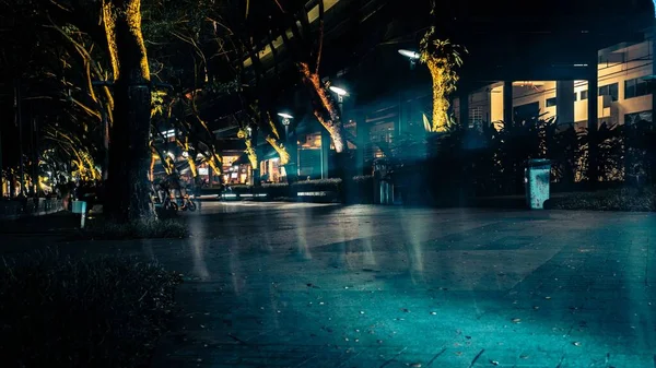 Geceleri Kaldırımdaki Modern Binaların Yanındaki Ağaçlar — Stok fotoğraf