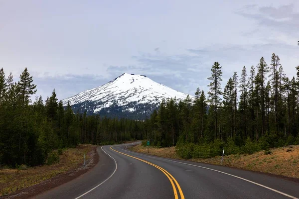 Дорога Ведущая Заснеженной Горе Холостяк Орегон — стоковое фото