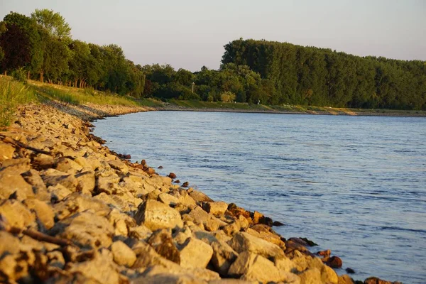 Hänförande Utsikt Över Vacker Stenig Flodstrand Med Lugnt Vatten Omgivet — Stockfoto