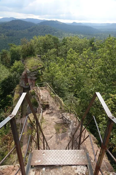 Tiro Vertical Uma Ponte Floresta Lutzelhardt França — Fotografia de Stock