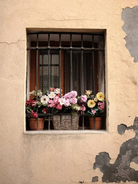 Plano Vertical Flores Alféizar Una Ventana Venecia Italia — Foto de Stock