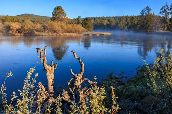 Blick Auf Den Deschutes River Und Den Wald Oregon Einem — Stockfoto