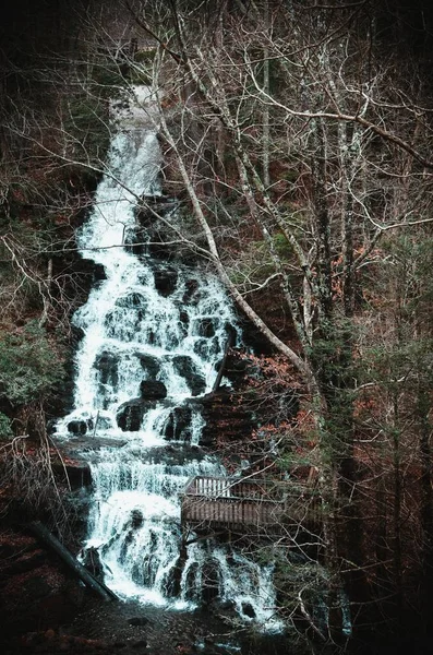 Tiro Vertical Uma Bela Cachoeira Cascata Uma Floresta Com Árvores — Fotografia de Stock