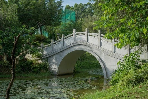 Старый Мост Через Мелкую Реку Солнечный День — стоковое фото
