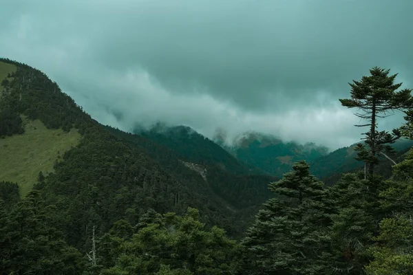 Une Vue Panoramique Forêt Dense Montagne Dans Parc National Taroko — Photo