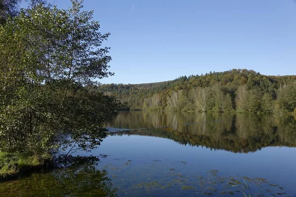 Una Hermosa Vista Lago Cerca Del Bosque Ludwigswinkel Alemania — Foto de Stock