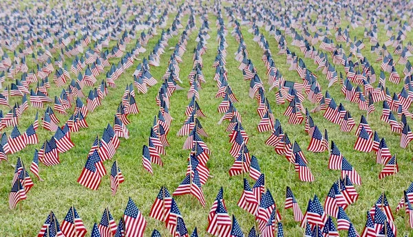 Campo Verde Con Muchas Filas Pequeñas Banderas Americanas — Foto de Stock