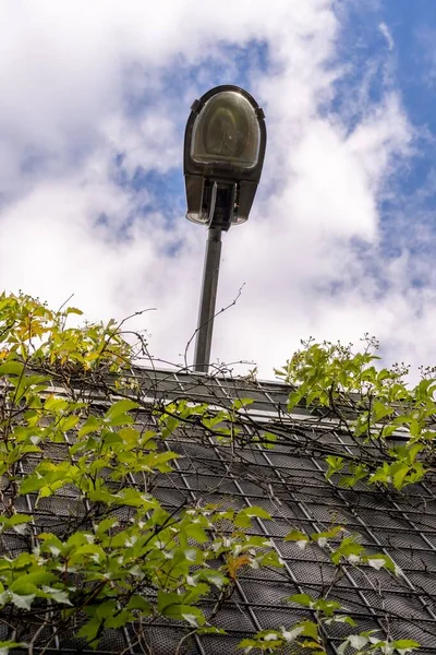 Низкий Орел Шор Фонаря Столба Крышей Здания Зелеными Растениями — стоковое фото