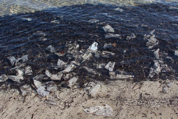 Basura Plástica Mar Contaminación Ambiental — Foto de Stock