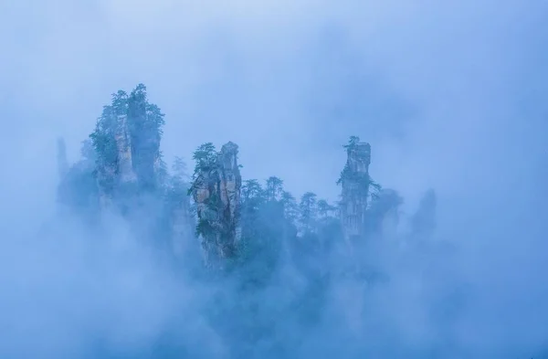 Чудовий Пейзаж Національного Лісового Парку Чжанцзяджі — стокове фото