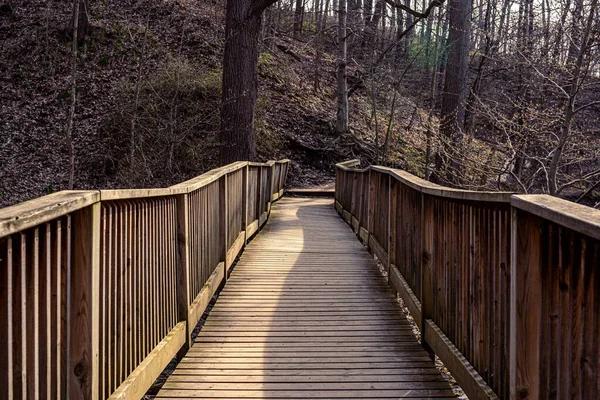 Chodící Dřevěný Most Lese — Stock fotografie