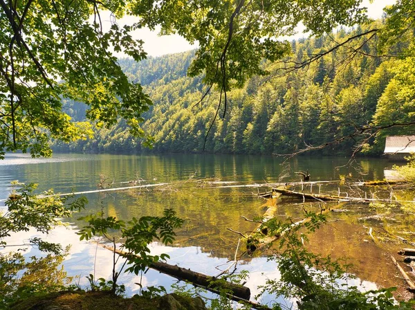 Beautiful Scenery Lake Toplitz Green Nature Salzkammergut Austria — Stock Photo, Image