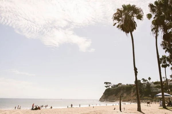 Palmiye Ağaçları Güney Kaliforniya Daki Insanlarla Dolu Kumlu Bir Sahil — Stok fotoğraf