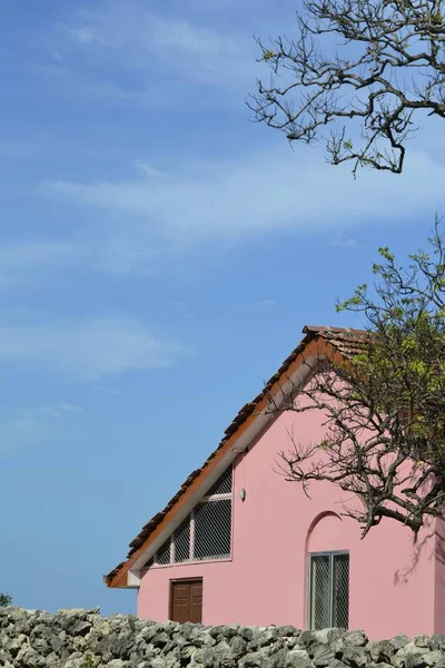 Tiro Vertical Uma Casa Aconchegante Rosa Contra Céu Azul — Fotografia de Stock