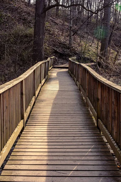 Plano Vertical Puente Madera Caminando Bosque — Foto de Stock