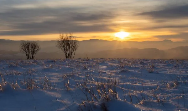 寒冷的冬日早晨 雪地上两棵无叶树的美丽景色 阳光穿过云彩照亮了雪地 — 图库照片