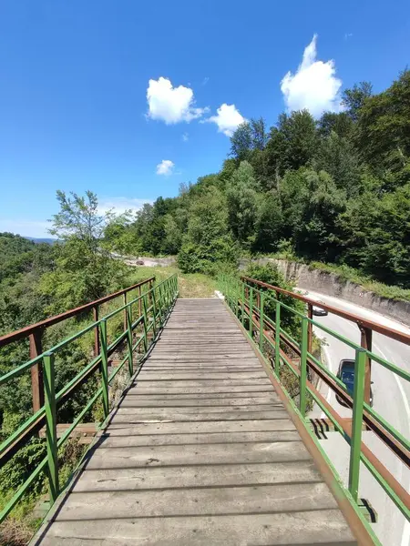 Colpo Verticale Bellissimo Ponte Nella Foresta Komar Bosnia Erzegovina — Foto Stock