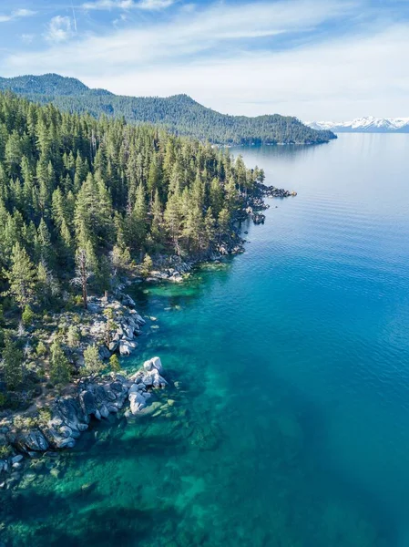 Ein Schöner Hochwinkel Des Tahoe Sees Unter Einem Dichten Kiefernwald — Stockfoto