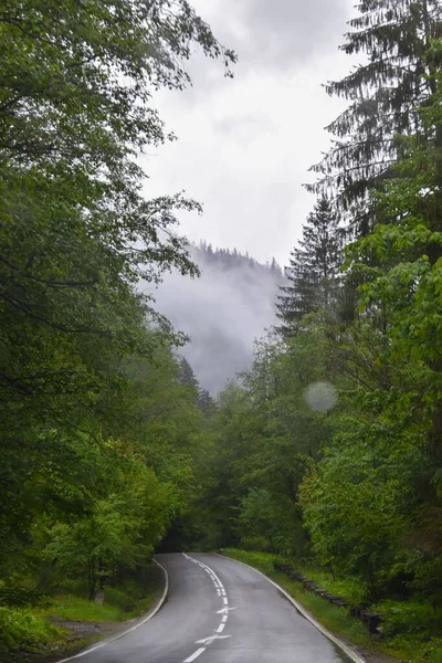 Een Verticaal Schot Van Een Straat Karpathian Mountains Roemenie — Stockfoto