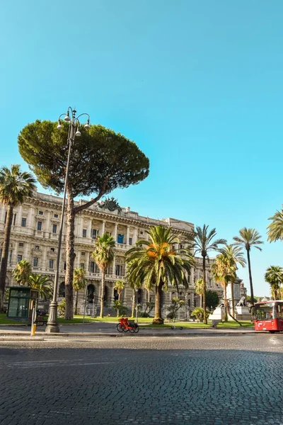 Het Verticale Uitzicht Bomen Tegen Piazza Cavour — Stockfoto