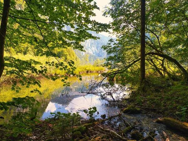 Beautiful Scenery Lake Toplitz Green Nature Salzkammergut Austria — Stock Photo, Image