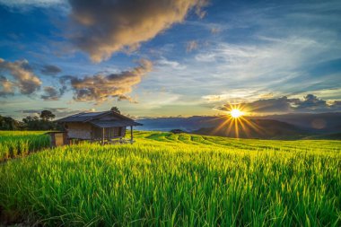 Teraslı pirinç tarlalarındaki ahşap kulübenin güzel bir görüntüsü ve güneş gün batımında bulutların arasında parlıyor.