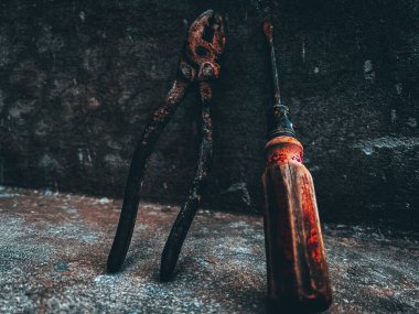 Bir kaya duvarına yaslanmış bir tornavida ve kerpetenin yakın çekimi.