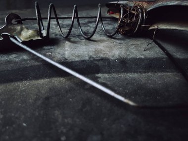 Yerdeki bir yay teli ürününün yakın çekimi.