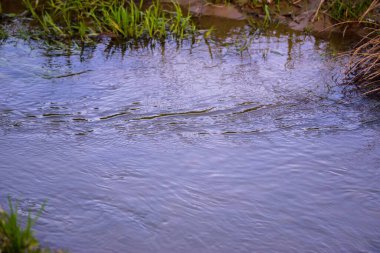 Gölün sakin mavi suyuna yakın çekim.
