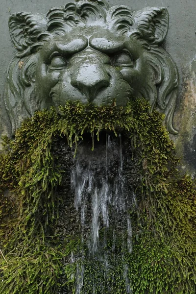 Una Statua Faccia Leone Con Fontana Acqua Coperta Muschio — Foto Stock